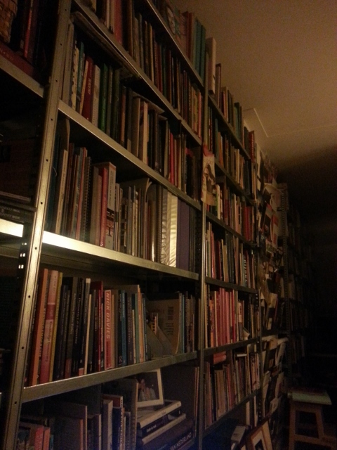 20121123_005909 (480x640)