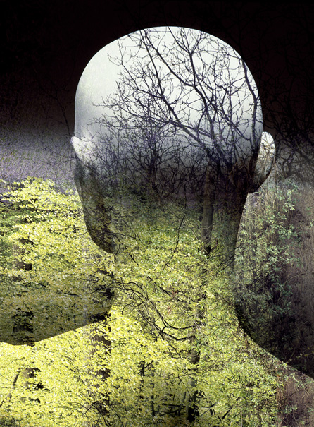 The-Ecology-Man-Sprd-02