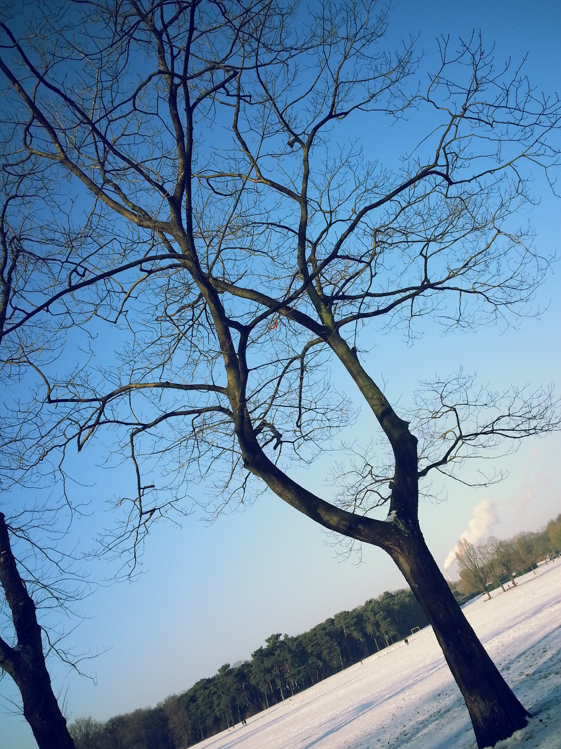 20150124_142346