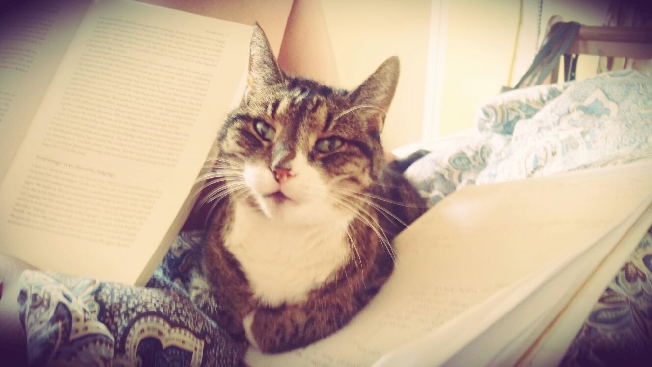 20150814 Bob en ik werken hard aan een nieuwe reader over narratieve analyse