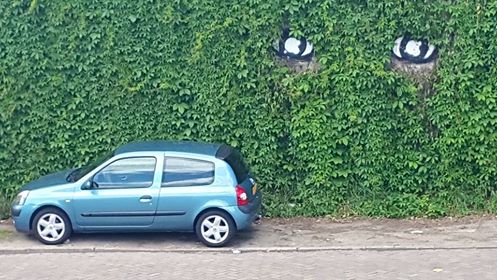 20150607 2 Bewaakt parkeren in Nijmegen