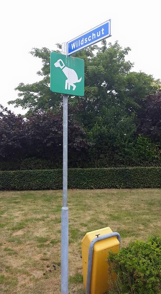 20150614 1 Geen wonder dat die hond kreupel is