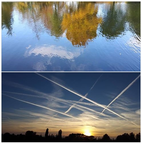 20151029 A rhythm of blue and yellow tones
