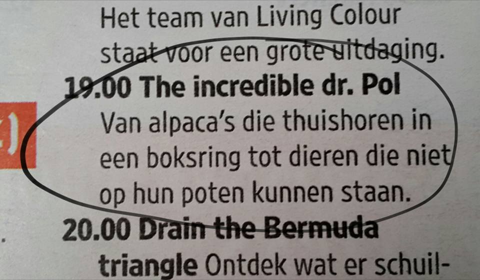 20161002 Ik denk dat ze slangen bedoelen