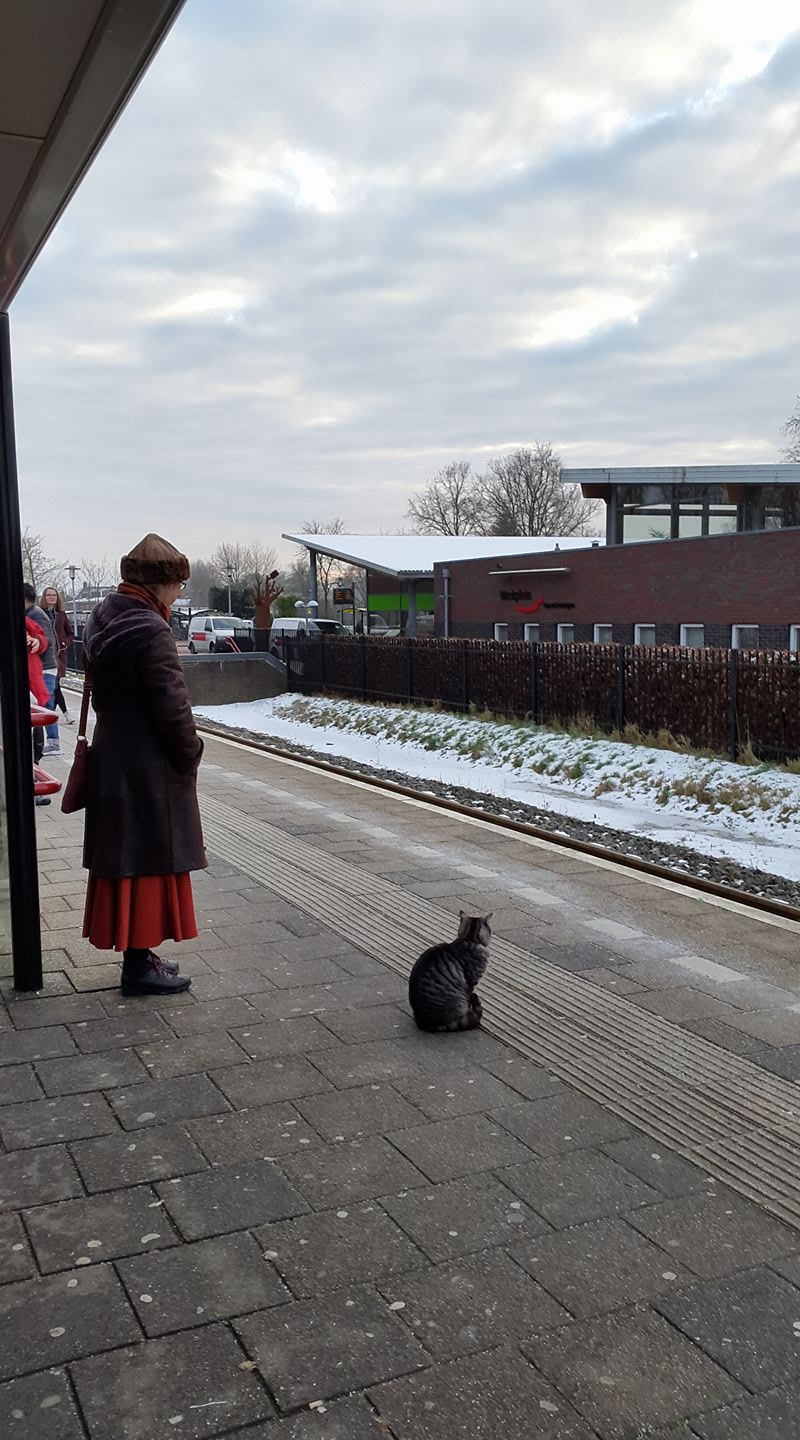 20170118 cat Stevens waiting on the peace train